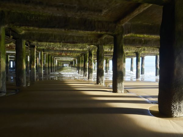 Cost of Pier And Beam Leveling in Downers Grove